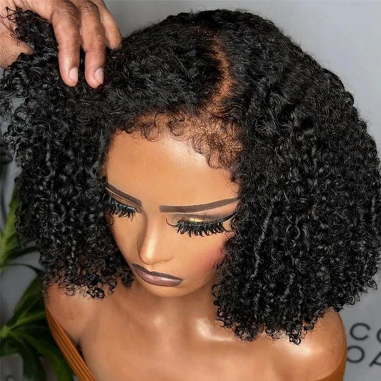 Lace Front Wigs Transparent 4x4 Closure Human Hair Wig Natural Hairline